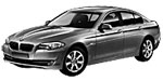 BMW F10 P1A6C Fault Code