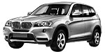 BMW F25 P1A6C Fault Code
